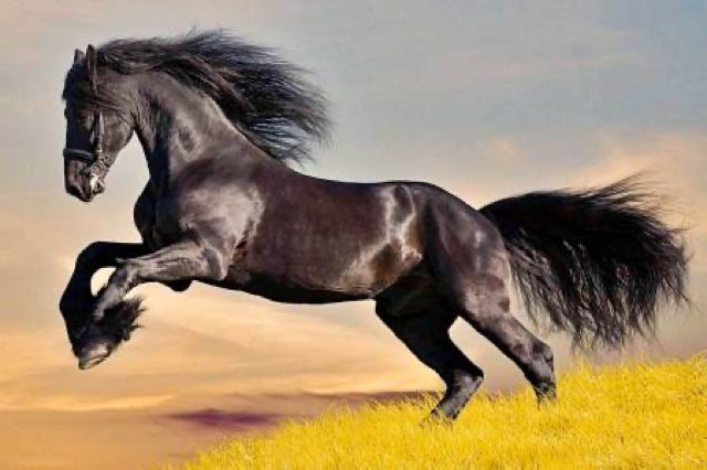 Learn the meaning of Chinese characters online with Oliver. Free lessons for beginners 6